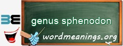 WordMeaning blackboard for genus sphenodon